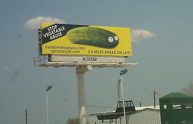 morning picdump 58 pics 16.html - 58 HD Photos | Premium Gallery 2011