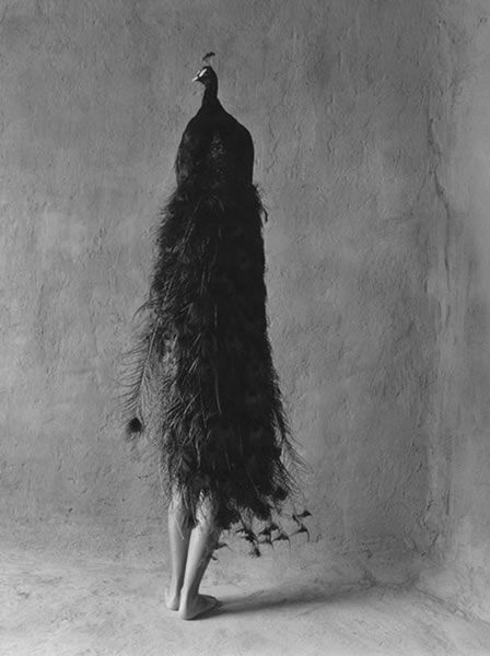 morning picdump 58 pics 16.html - 58 HD Photos | Premium Gallery 2011