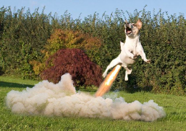 morning picdump 58 pics 28.html - 58 HD Photos | Premium Gallery 2011