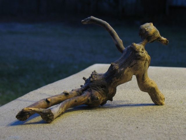 morning picdump 58 pics 28.html - 58 HD Photos | Premium Gallery 2011