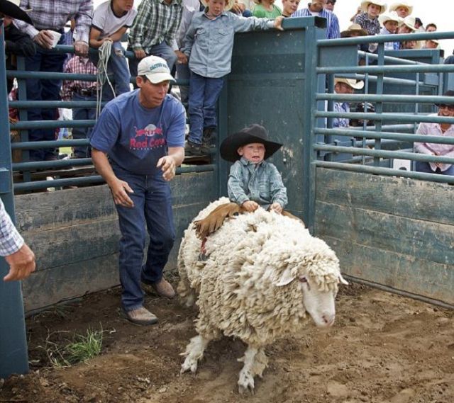 morning picdump 58 pics 28.html - 58 HD Photos | Premium Gallery 2011