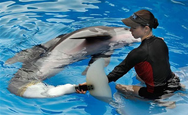 morning picdump 68 pics 3.html - 68 HD Photos | Premium Gallery 2011