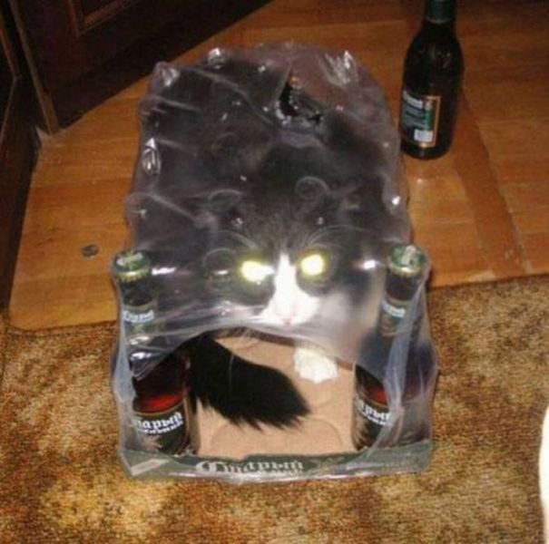 morning picdump 68 pics 3.html - 68 HD Photos | Premium Gallery 2011