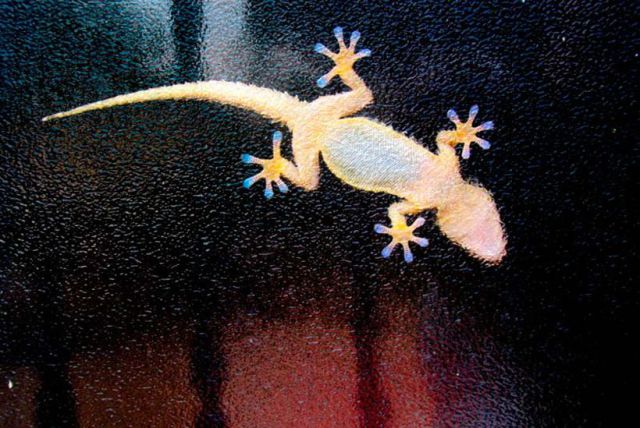 morning picdump 68 pics 3.html - 68 HD Photos | Premium Gallery 2011