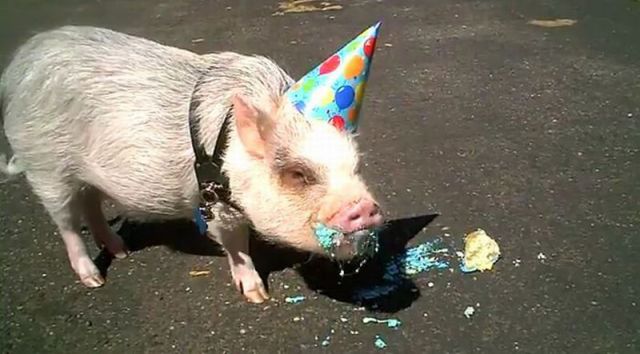 morning picdump 68 pics 3.html - 68 HD Photos | Premium Gallery 2011