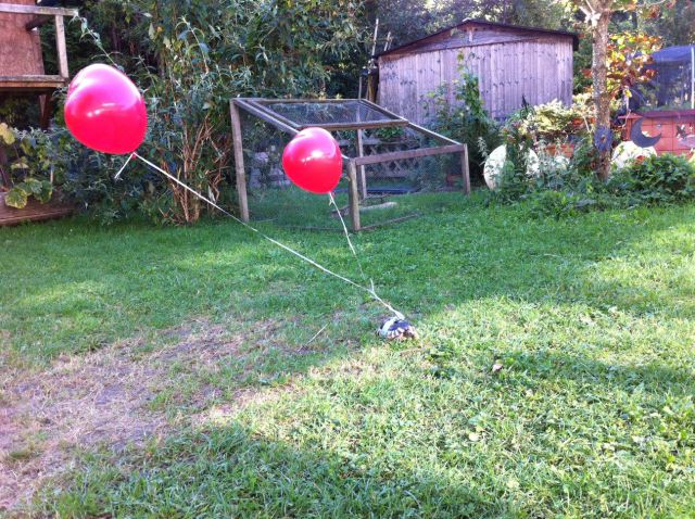 morning picdump 68 pics 3.html - 68 HD Photos | Premium Gallery 2011