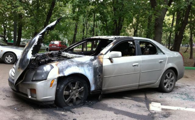 morning picdump 68 pics 3.html - 68 HD Photos | Premium Gallery 2011