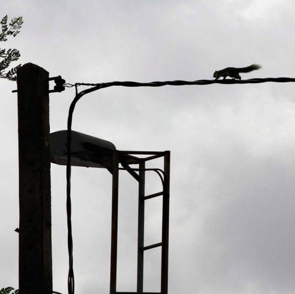 morning picdump 68 pics 3.html - 68 HD Photos | Premium Gallery 2011