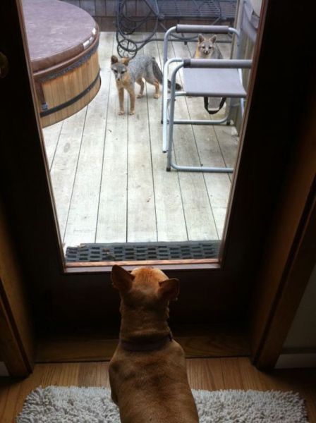 morning picdump 68 pics 3.html - 68 HD Photos | Premium Gallery 2011