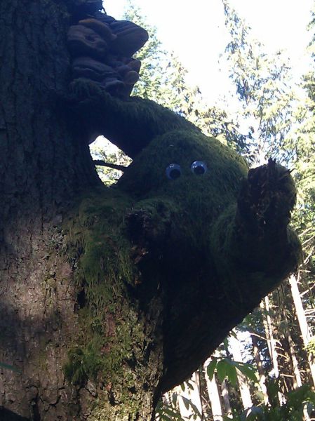 morning picdump 63 pics 17.html - 63 HD Photos | Premium Gallery 2011