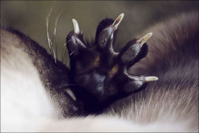 morning picdump 66 pics 32.html - 66 HD Photos | Premium Gallery 2011