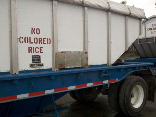 morning picdump 66 pics 32.html - 66 HD Photos | Premium Gallery 2011