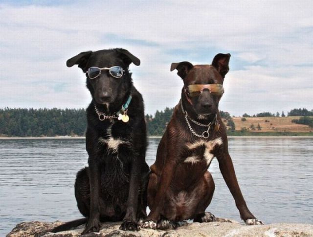 morning picdump 66 pics 32.html - 66 HD Photos | Premium Gallery 2011