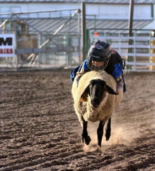 morning picdump 66 pics 32.html - 66 HD Photos | Premium Gallery 2011