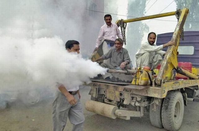 morning picdump 66 pics 32.html - 66 HD Photos | Premium Gallery 2011