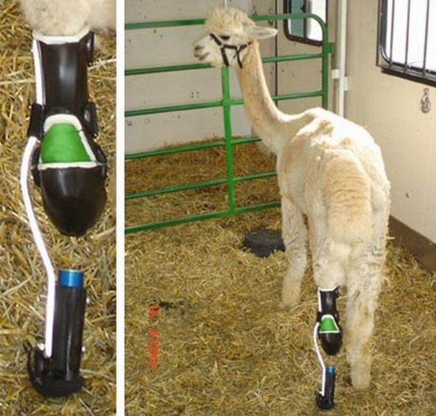 morning picdump 73 pics 30.html - 73 HD Photos | Premium Gallery 2011