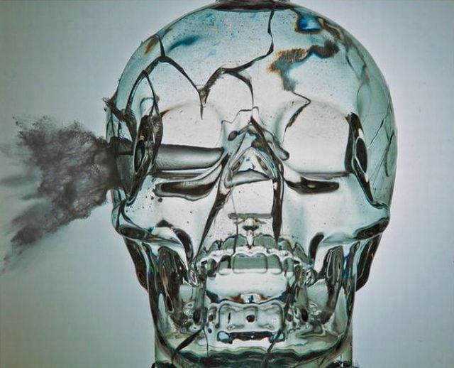 morning picdump 73 pics 30.html - 73 HD Photos | Premium Gallery 2011