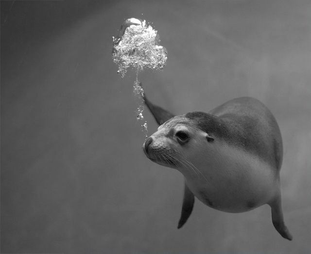 morning picdump 73 pics 30.html - 73 HD Photos | Premium Gallery 2011