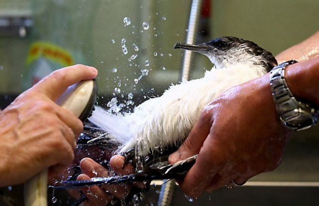 morning picdump 73 pics 30.html - 73 HD Photos | Premium Gallery 2011