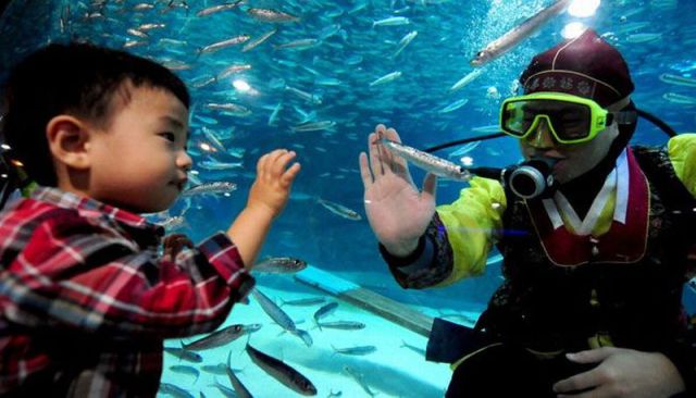 morning picdump 73 pics 30.html - 73 HD Photos | Premium Gallery 2011