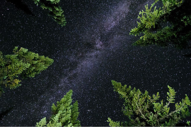 Powerfully Inspiring Photography