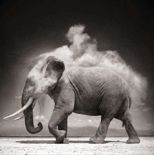 Powerfully Inspiring Photography