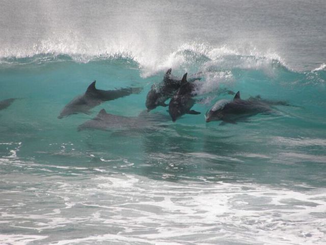 morning picdump 64 pics 15.html - 64 HD Photos | Premium Gallery 2011