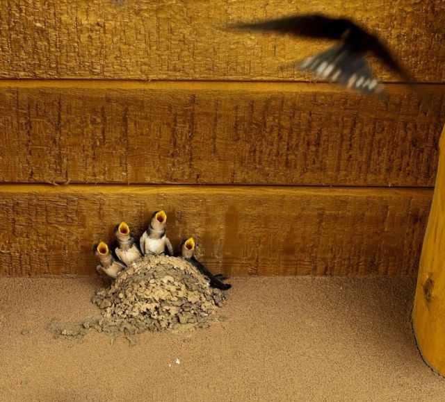 morning picdump 64 pics 15.html - 64 HD Photos | Premium Gallery 2011