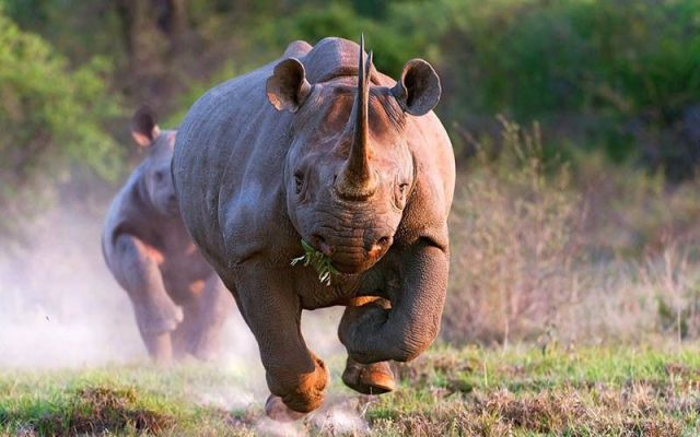 morning picdump 64 pics 15.html - 64 HD Photos | Premium Gallery 2011