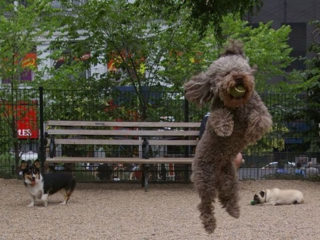 morning picdump 64 pics 15.html - 64 HD Photos | Premium Gallery 2011