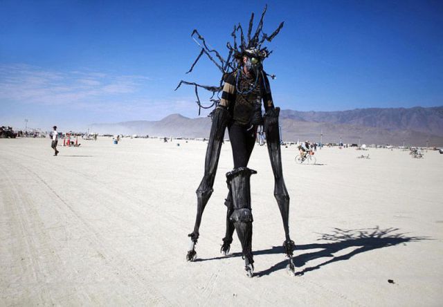 daily picdump 91 pics 8.html - 91 HD Photos | Premium Gallery 2011