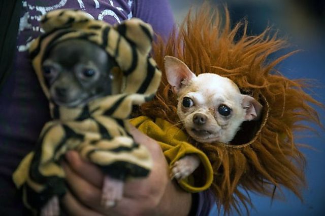 Morning Picdump
