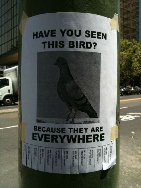 morning picdump 68 pics 25.html - 68 HD Photos | Premium Gallery 2011