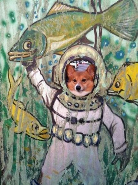 morning picdump 68 pics 25.html - 68 HD Photos | Premium Gallery 2011