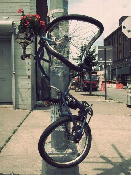 morning picdump 71 pics 14.html - 71 HD Photos | Premium Gallery 2011