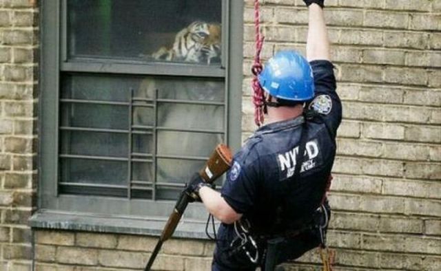 morning picdump 71 pics 14.html - 71 HD Photos | Premium Gallery 2011