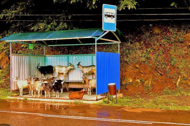 morning picdump 71 pics 14.html - 71 HD Photos | Premium Gallery 2011