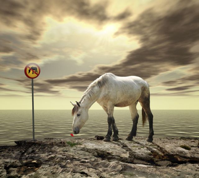 morning picdump 71 pics 14.html - 71 HD Photos | Premium Gallery 2011