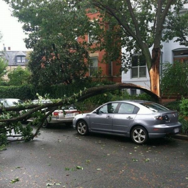 Morning Picdump