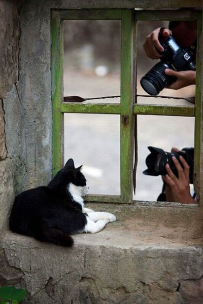 morning picdump 70 pics 35.html - 70 HD Photos | Premium Gallery 2011