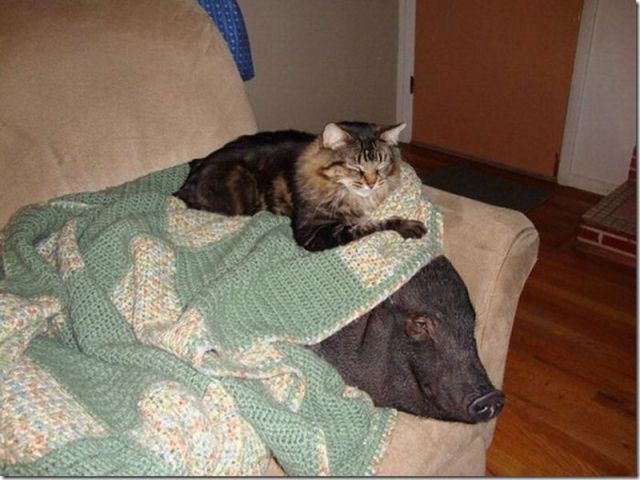 morning picdump 70 pics 35.html - 70 HD Photos | Premium Gallery 2011
