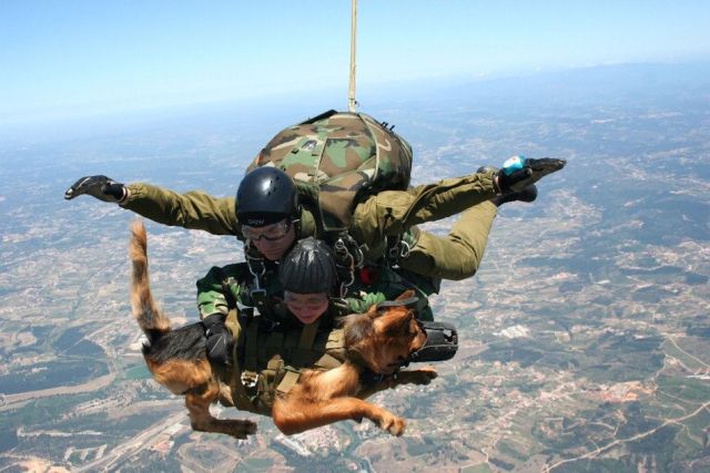 morning picdump 70 pics 35.html - 70 HD Photos | Premium Gallery 2011