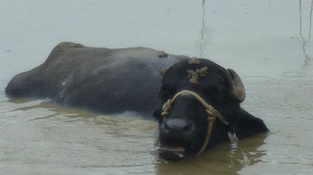 morning picdump 58 pics 26.html - 58 HD Photos | Premium Gallery 2011