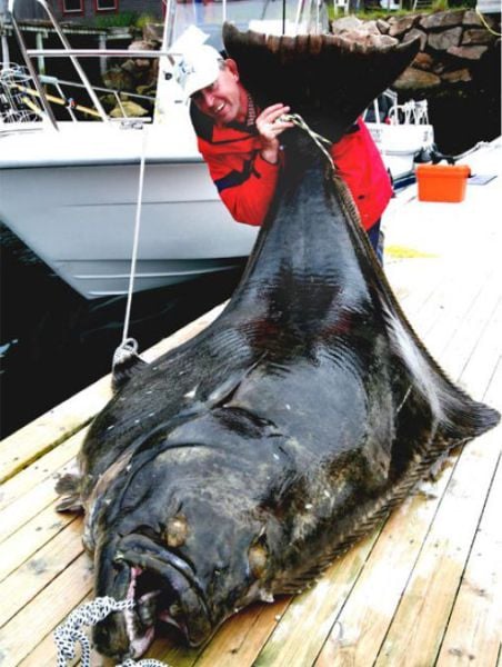 daily picdump 85 pics 33.html - 85 HD Photos | Premium Gallery 2011