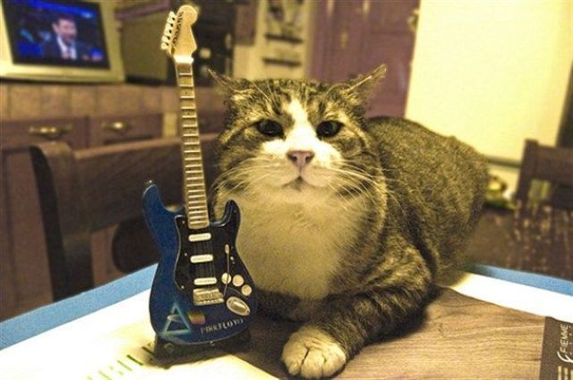 daily picdump 85 pics 33.html - 85 HD Photos | Premium Gallery 2011