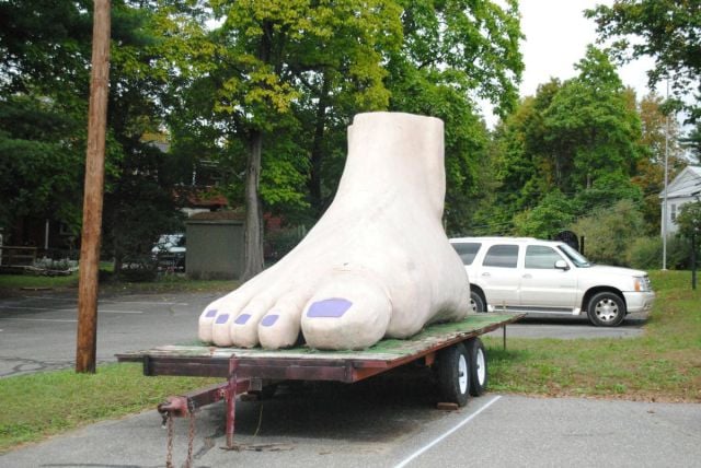 morning picdump 53 pics 24.html - 53 HD Photos | Premium Gallery 2011