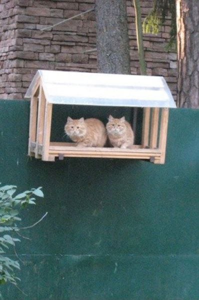 morning picdump 53 pics 24.html - 53 HD Photos | Premium Gallery 2011