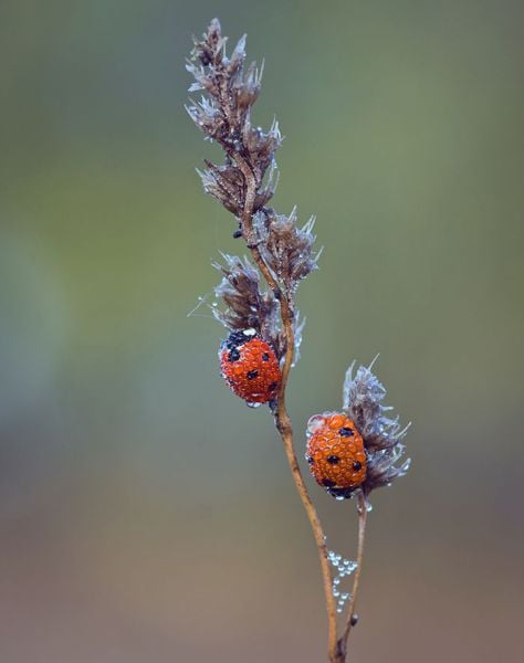 daily picdump 92 pics 38.html - 92 HD Photos | Premium Gallery 2011