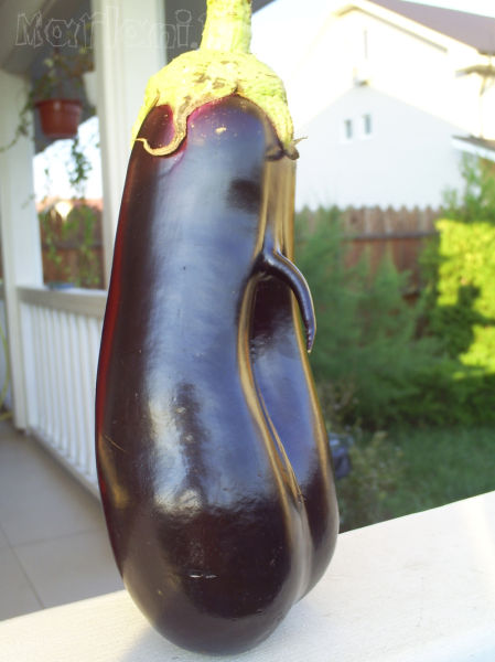 daily picdump 92 pics 38.html - 92 HD Photos | Premium Gallery 2011