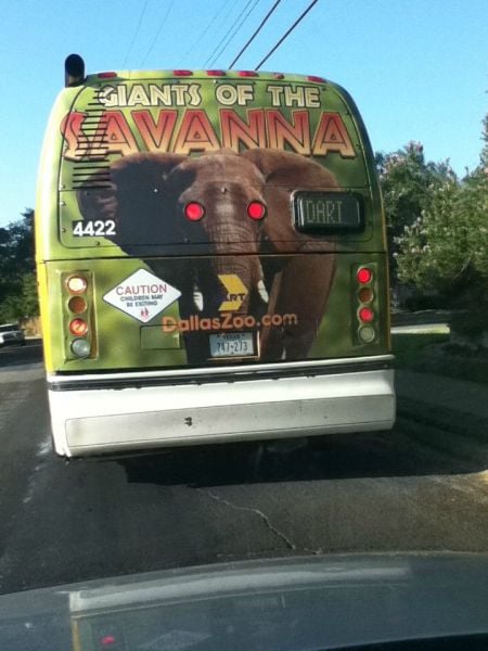 morning picdump 63 pics 15.html - 63 HD Photos | Premium Gallery 2011